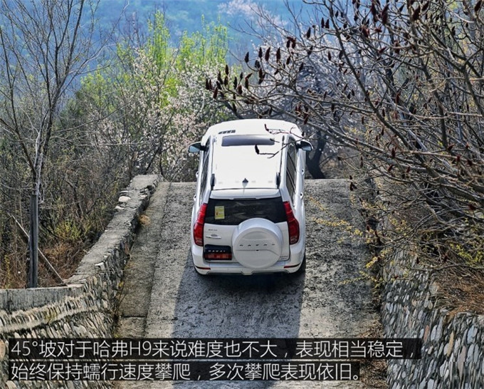 1525948611259281.jpg image012.jpg