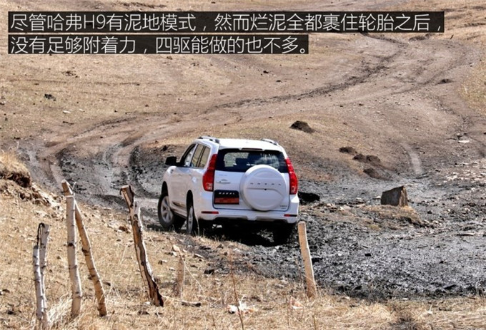 1525948880580889.jpg image024.jpg