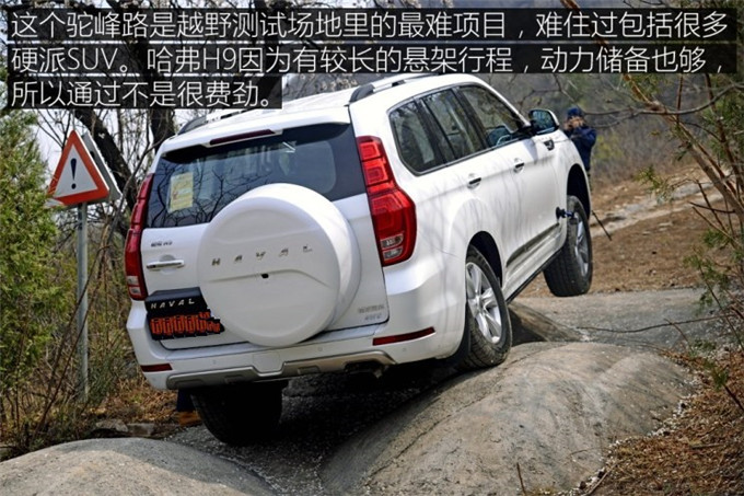 1525948586929021.jpg image010.jpg